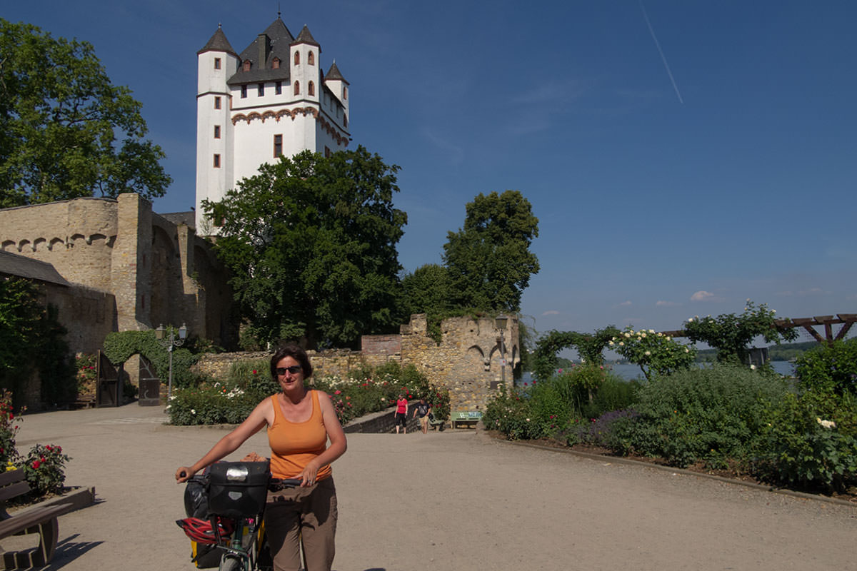 Burg Eltville