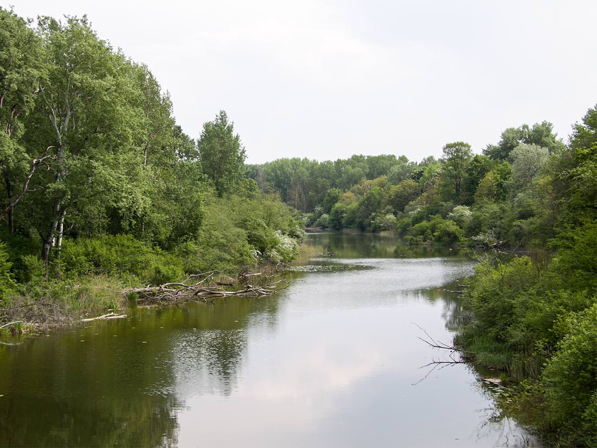 Donau-Auenlandschaft