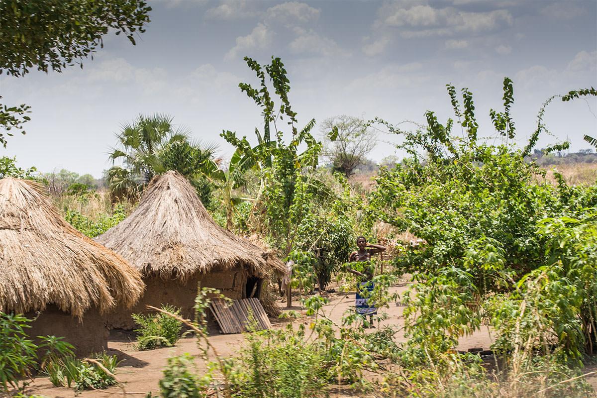 Dorf nahe Masumba / Sambia