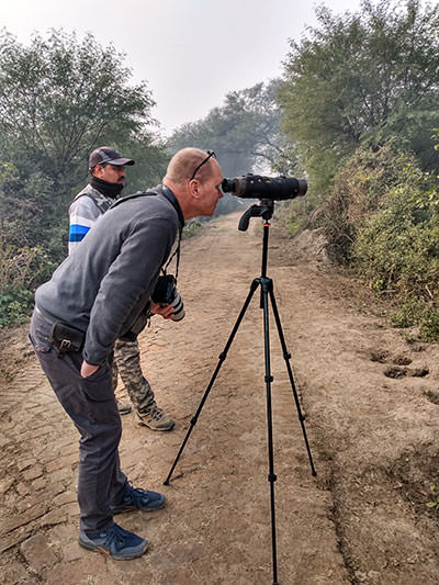 Vogelbeobachtung Keoladeo NP