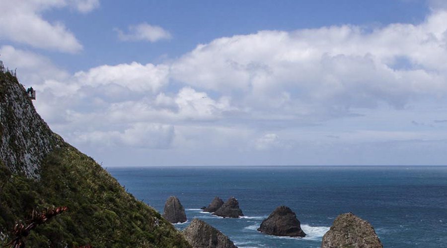 Leuchturm Nugget Point / Neuseeland