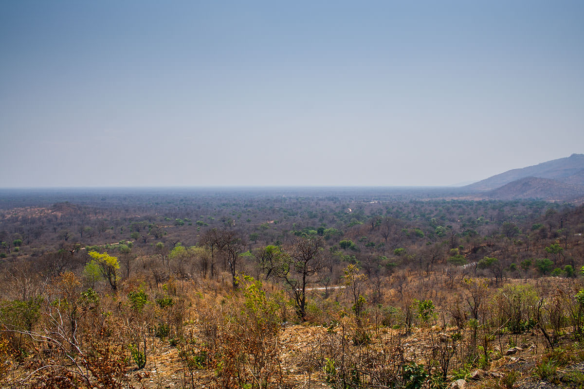 Lower Zambesi-Region