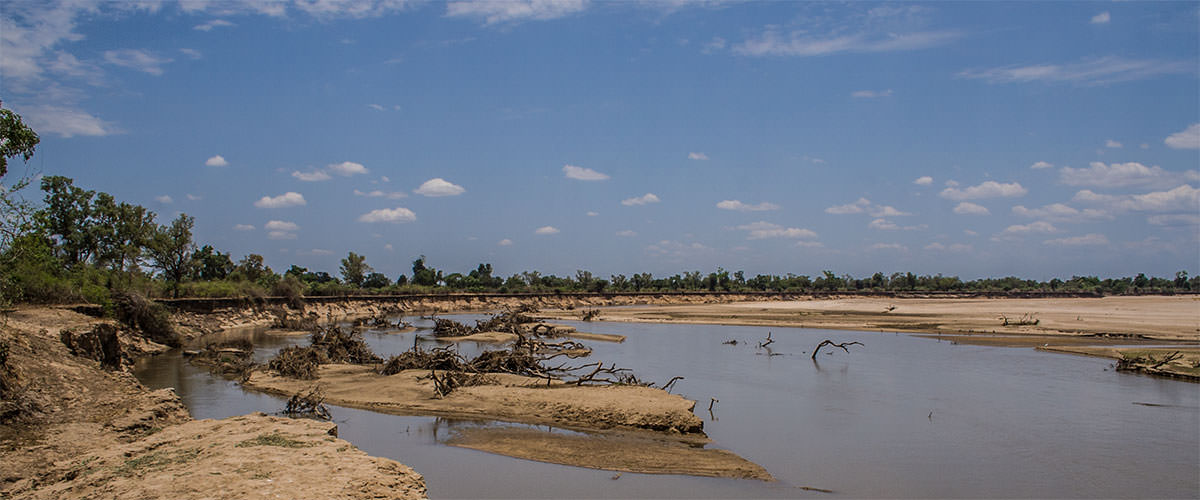 Luangwa River / Sambia