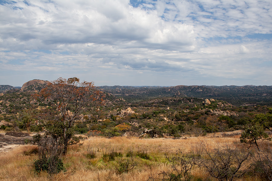 Matobo-Nationalpark / Simbabwe