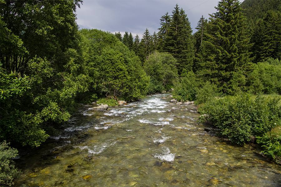 Oberrhein bei Tscharmut / Schweiz