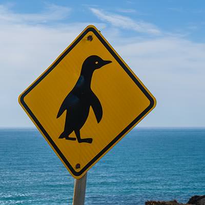 Pinguin-Hinweis