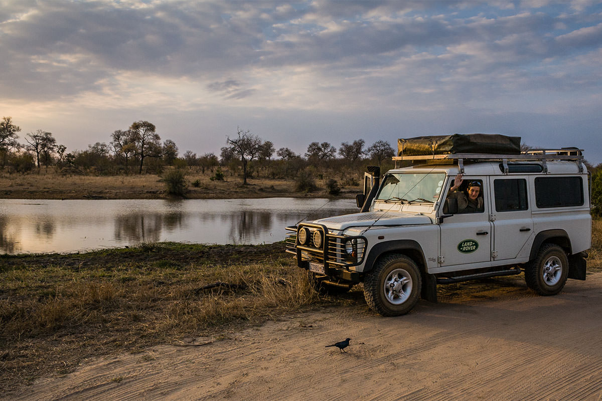 Schleichfahrt im Kruger Park