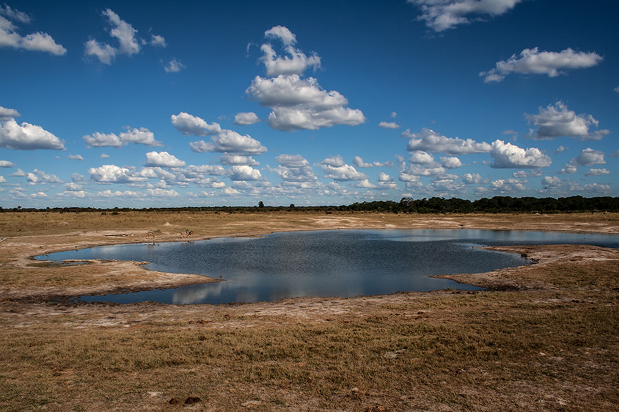 Wasserloch in Hwange