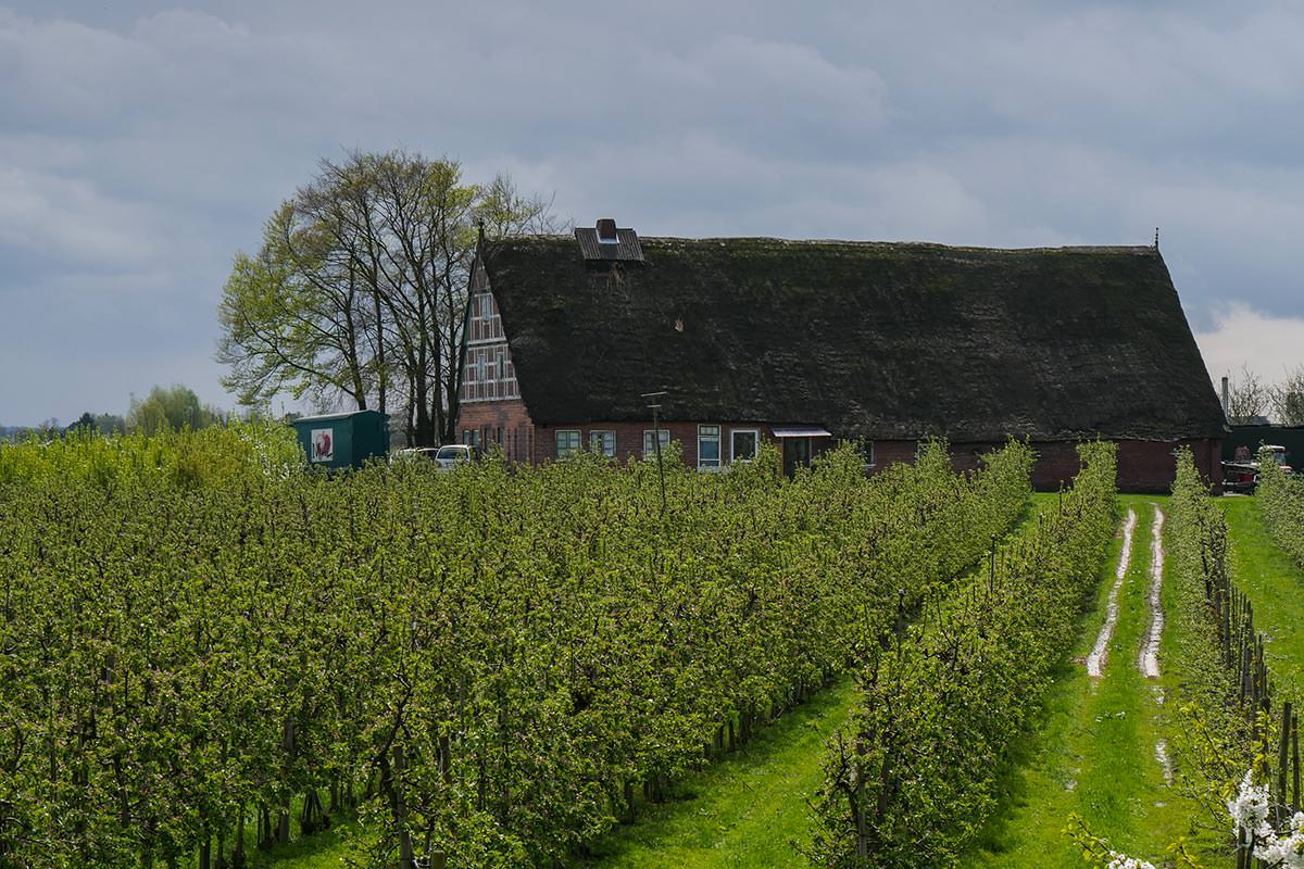 Bauernhof im Alten Land