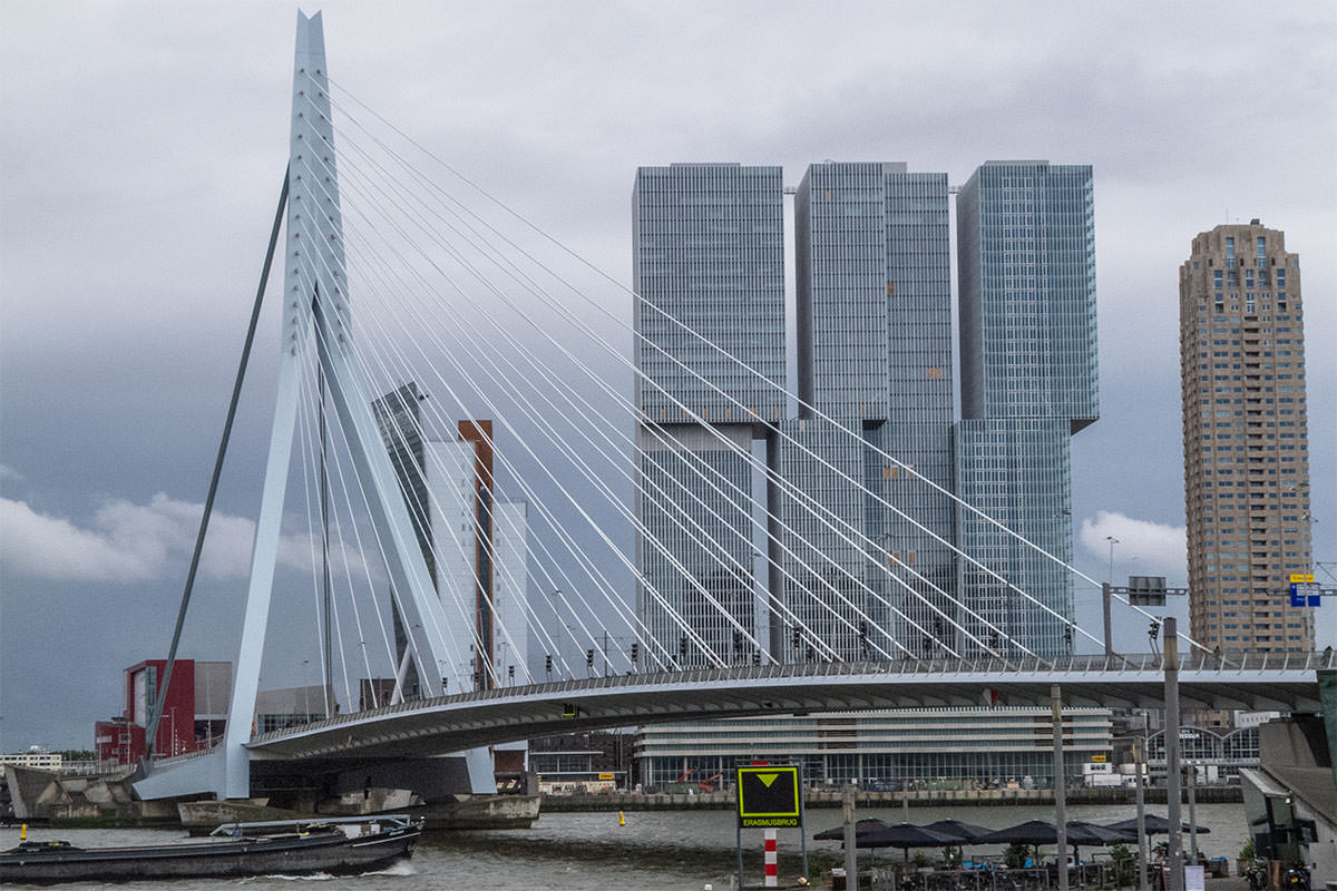 Erasmus-Brücke / Rotterdam