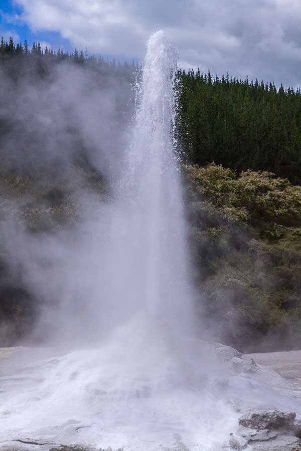 Geysir Lady Knox / Neuseeland