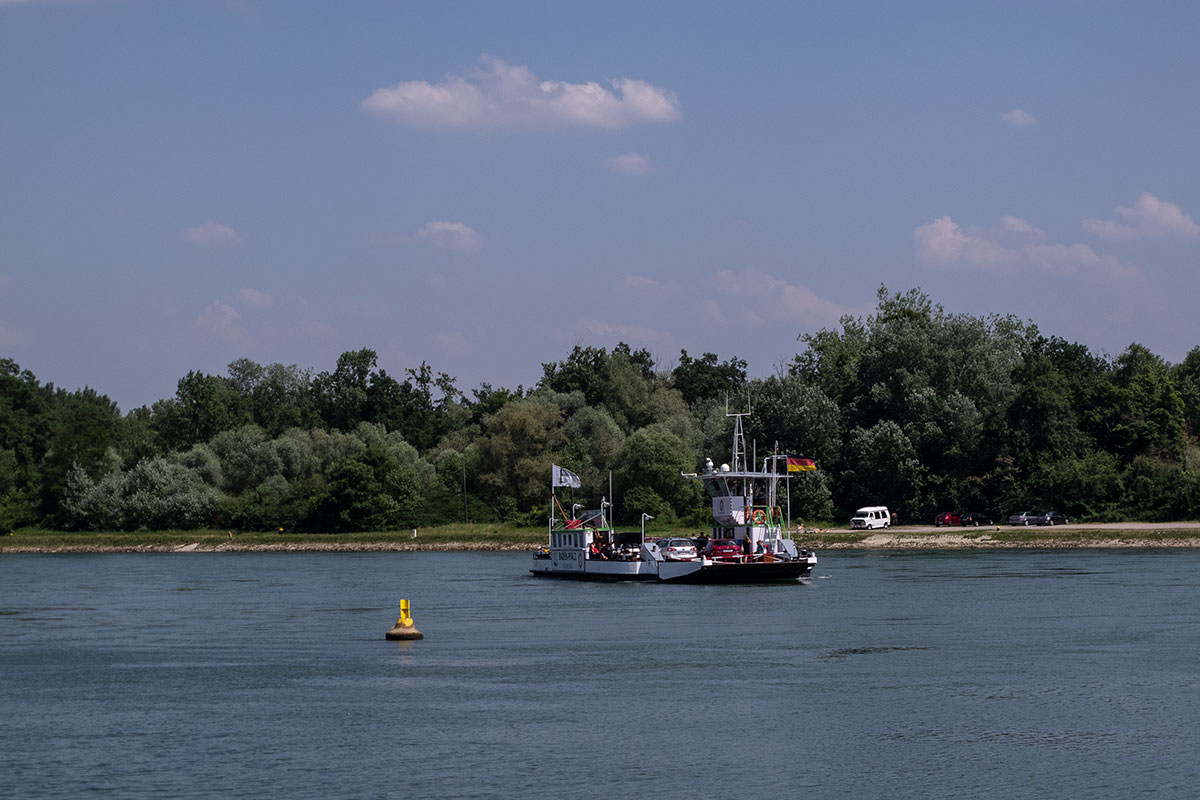 Rheinfähre bei Lauterbourg