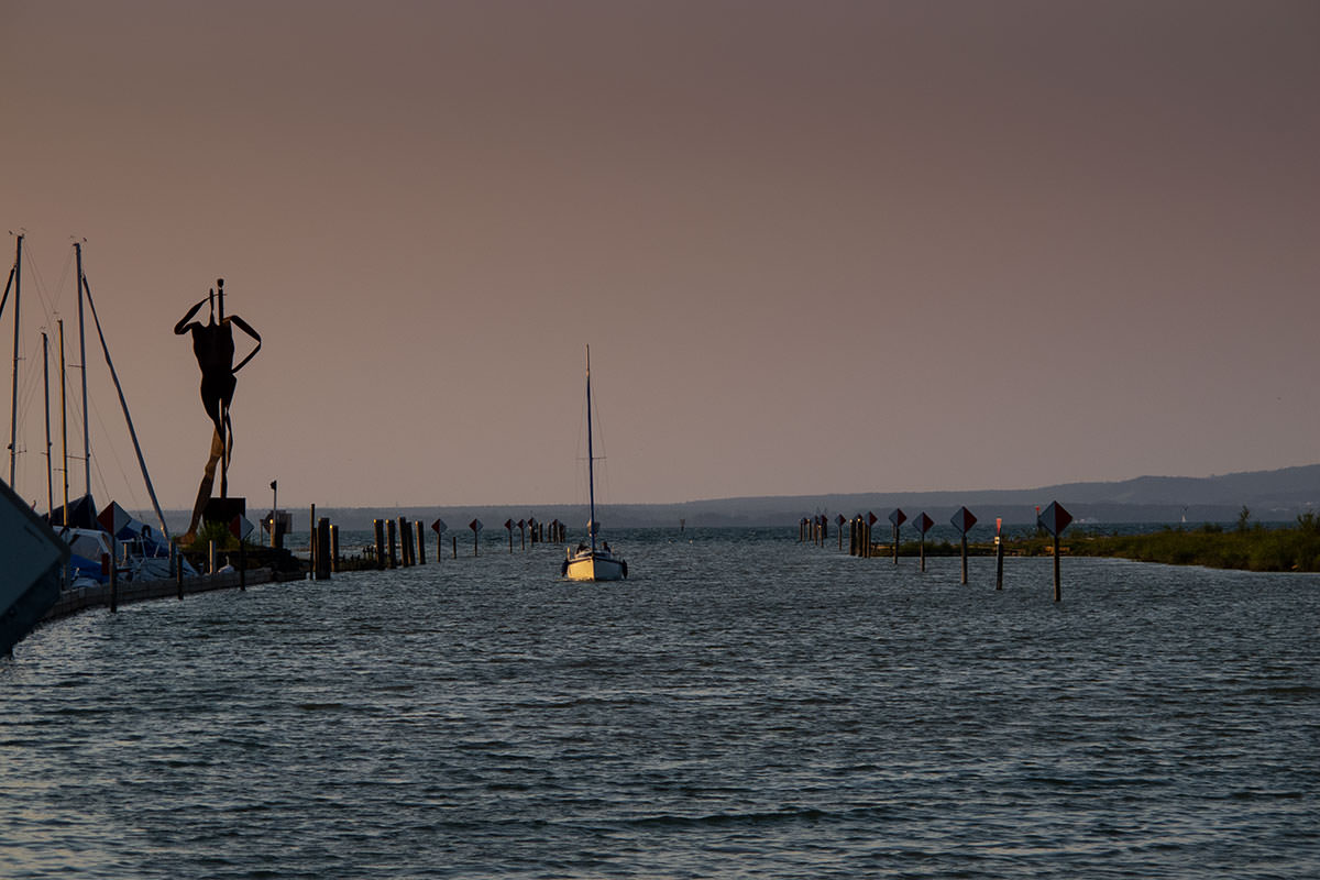 Rheinspitz- Bodensee