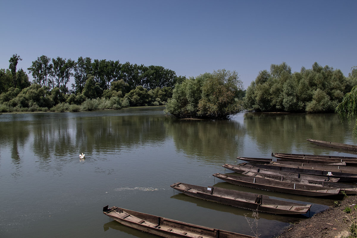 Fluss Sauer / Munchhausen