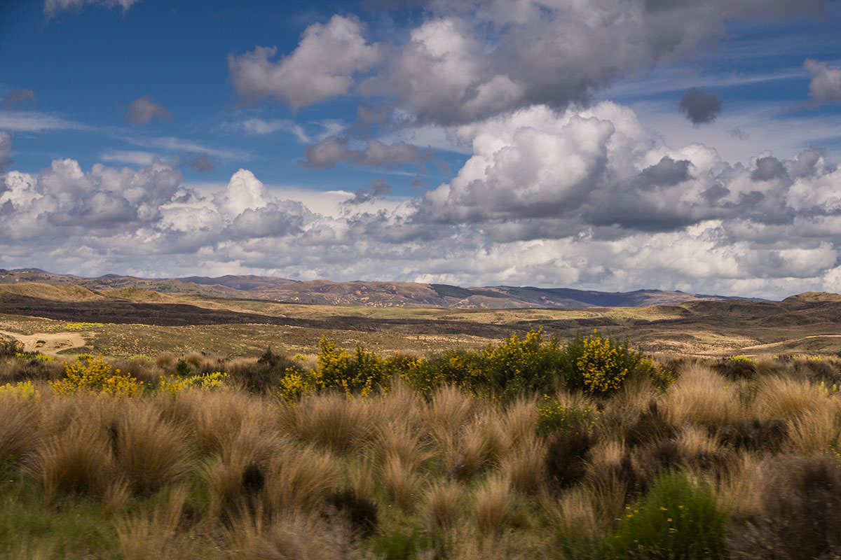 Grassteppe im Tongario NP
