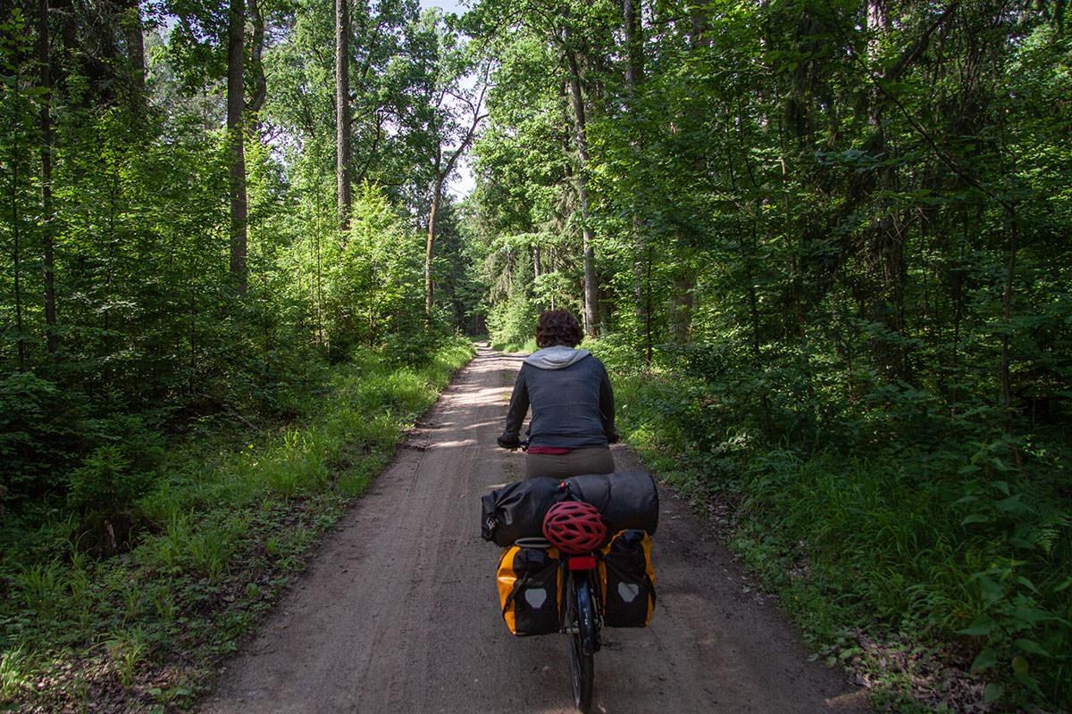 Radweg / Białowieża