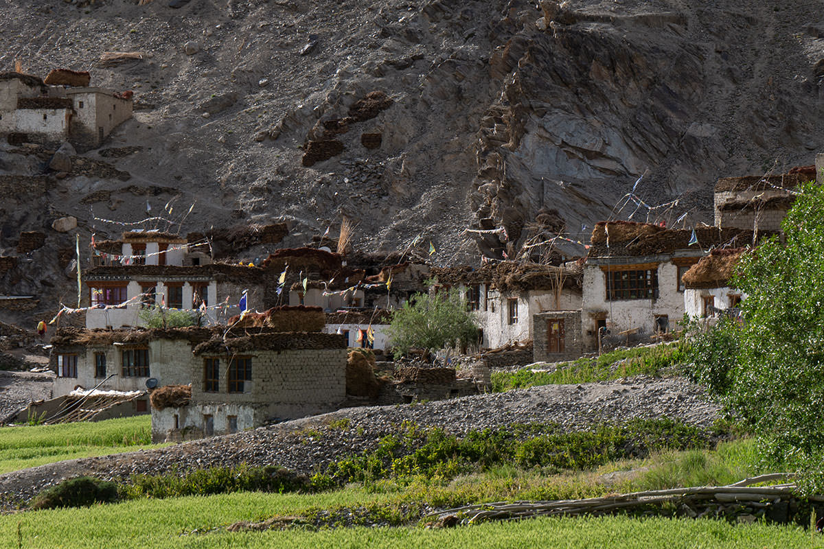 Dorf Cha / Zanskar