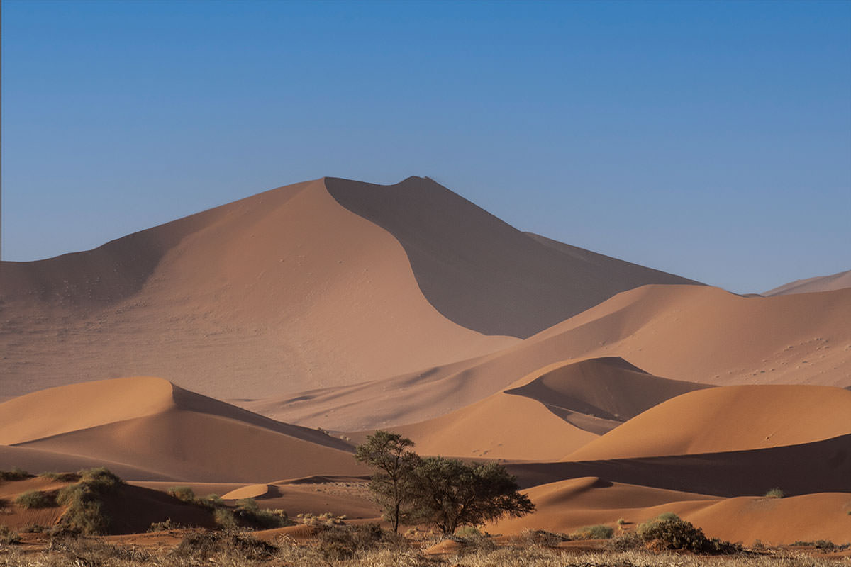 Dünen im Namib-Naukluft-Park