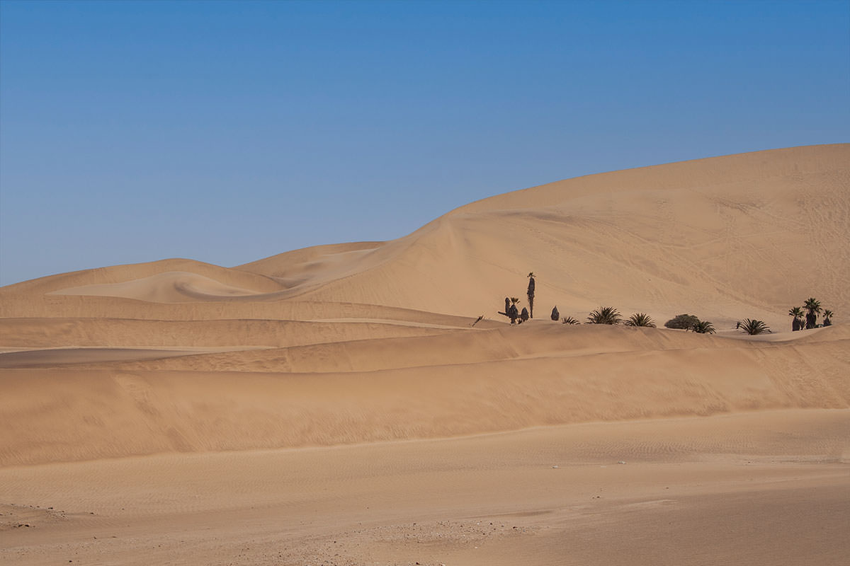 Dünen vor Walvis Bay