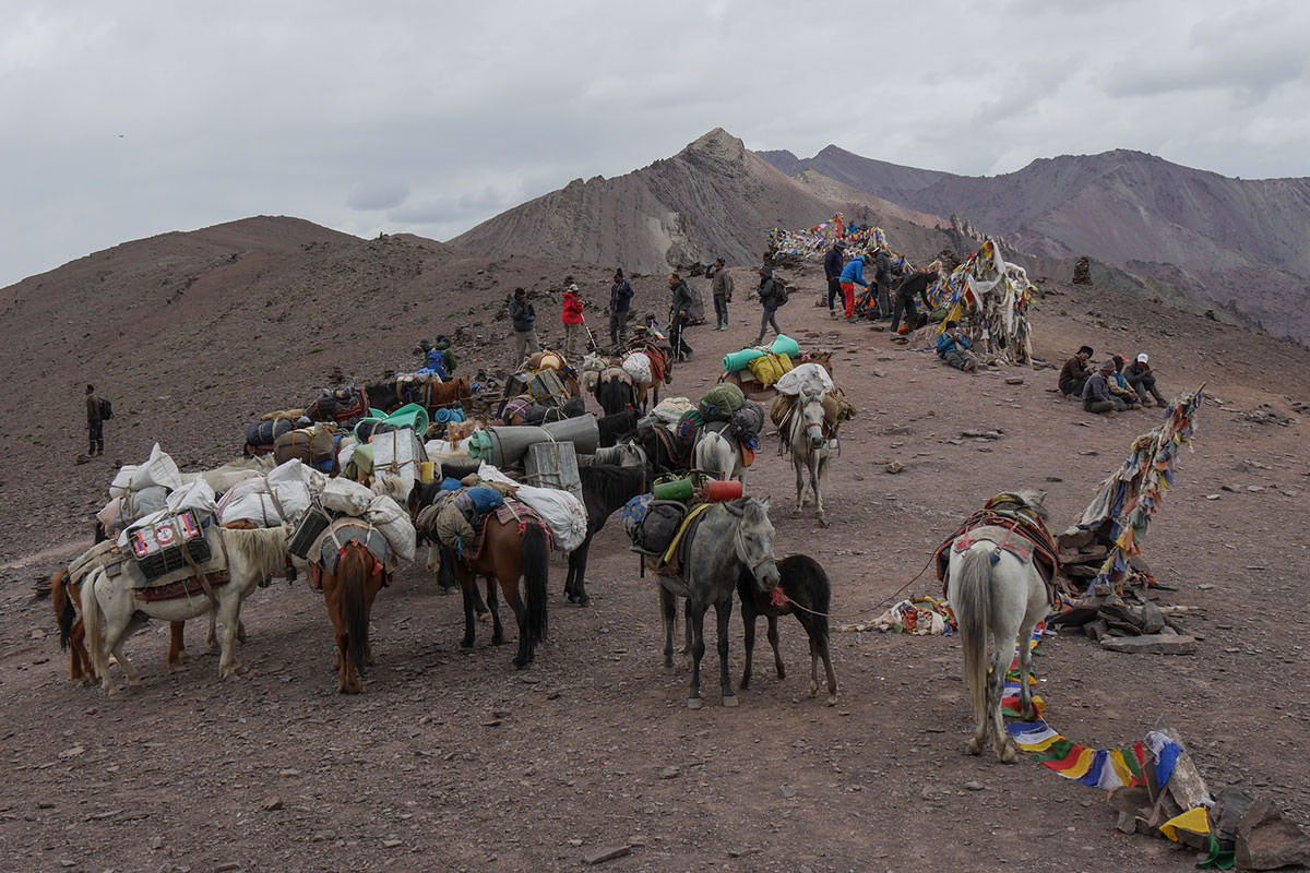 Gruppentour - Markha-Trek