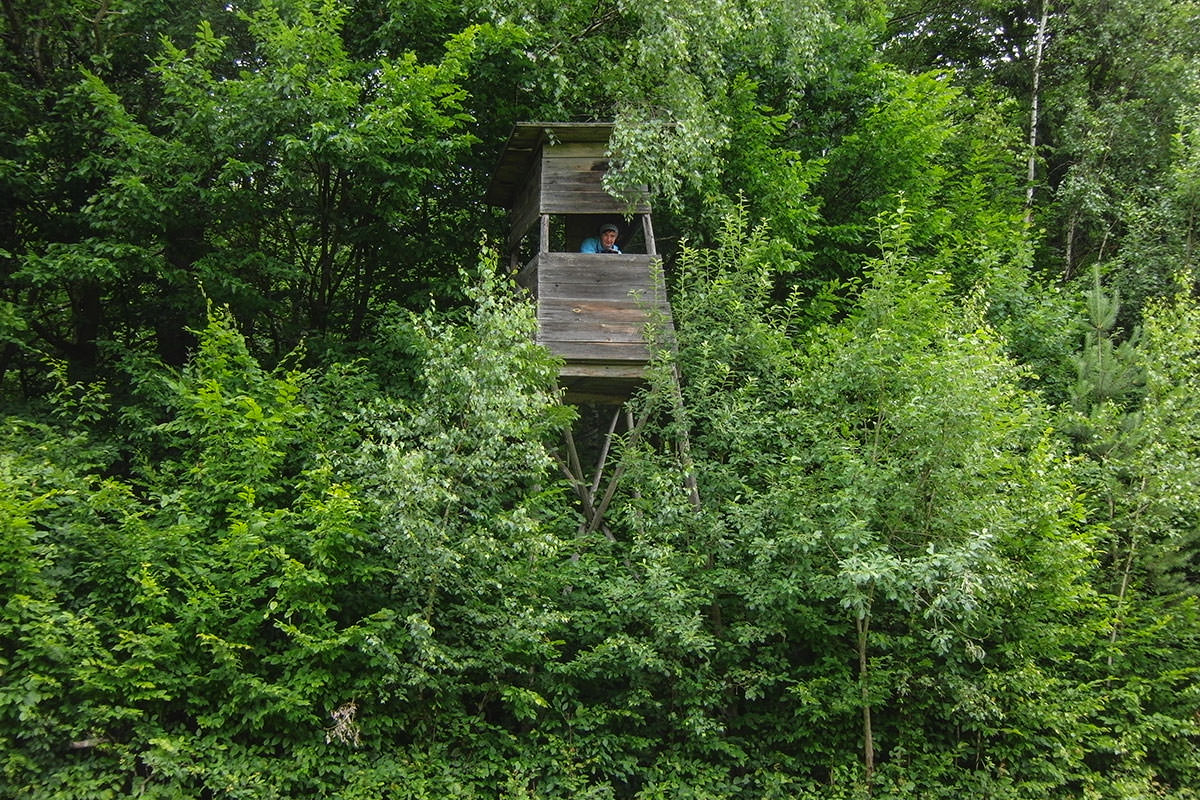 Hochstand / Białowieża
