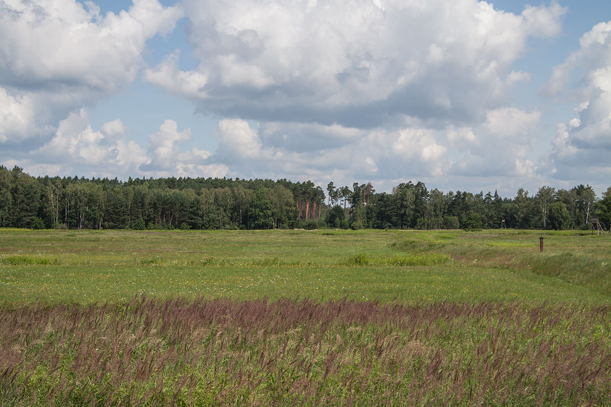 Stobrawski-Park / Oberschlesien